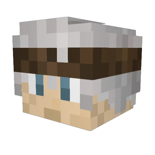 Plixup Minecraft avatar head, 3D render