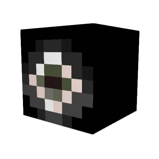 Plk0 Minecraft avatar head, 3D render