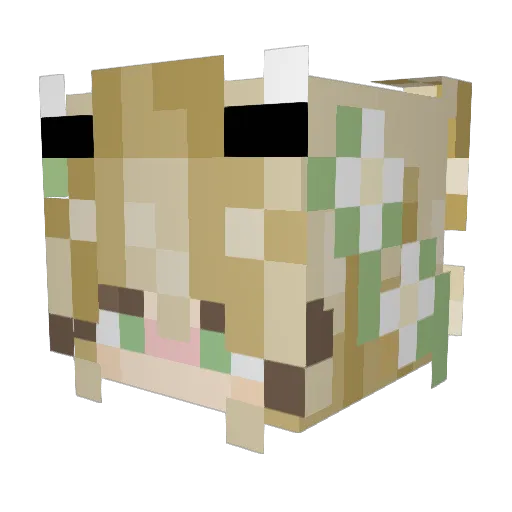 PllBroz Minecraft avatar head, 3D render