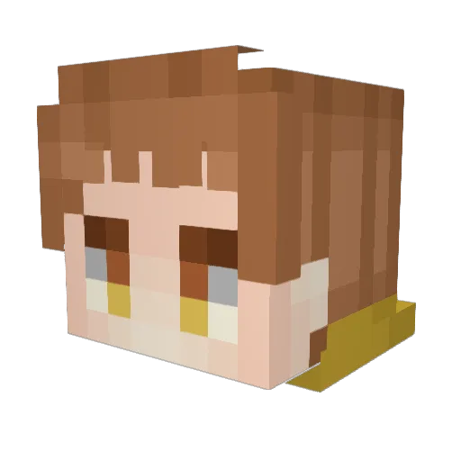 PlmYongUn Minecraft avatar head, 3D render