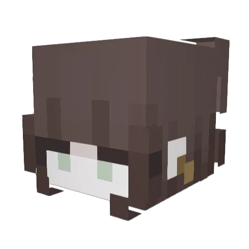 Plo7y Minecraft avatar head, 3D render