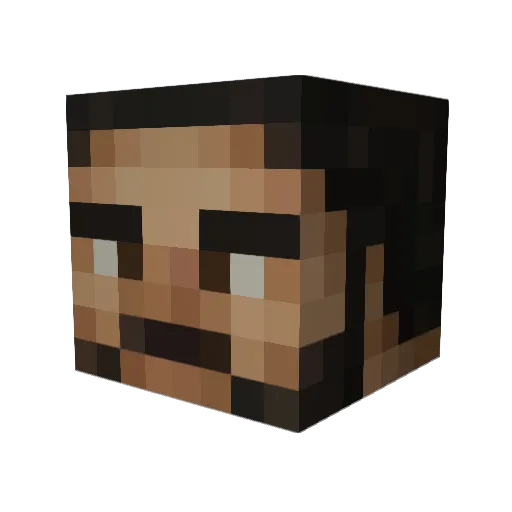 Ploidi Minecraft avatar head, 3D render