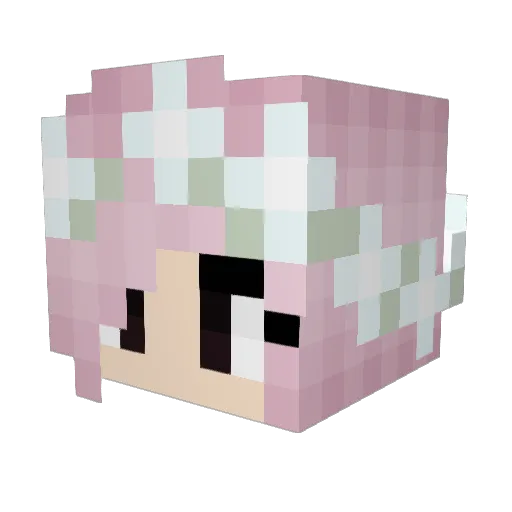 Plombi Minecraft avatar head, 3D render