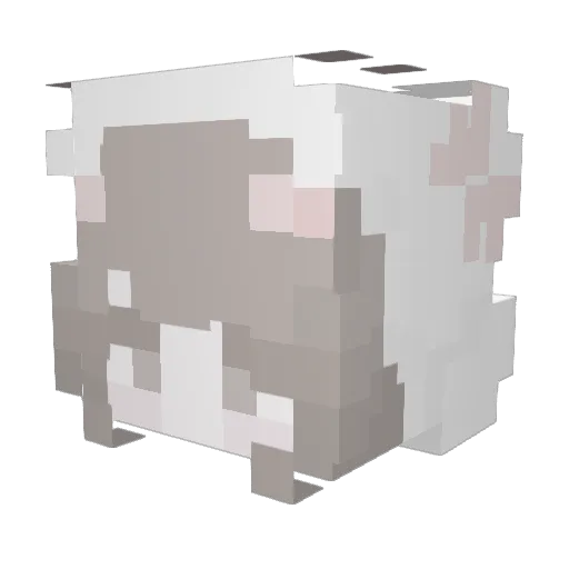 PlompersVT Minecraft avatar head, 3D render