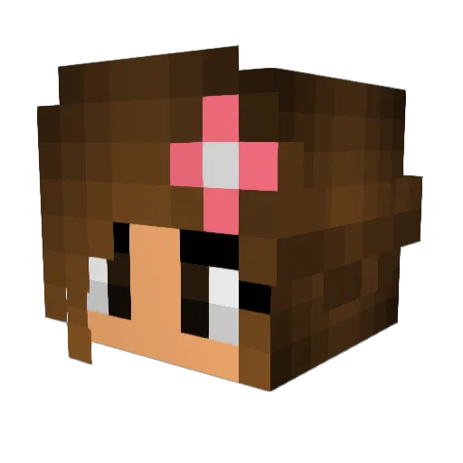 Plonkyyy Minecraft avatar head, 3D render