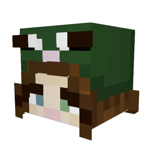 Plooooooot Minecraft avatar head, 3D render