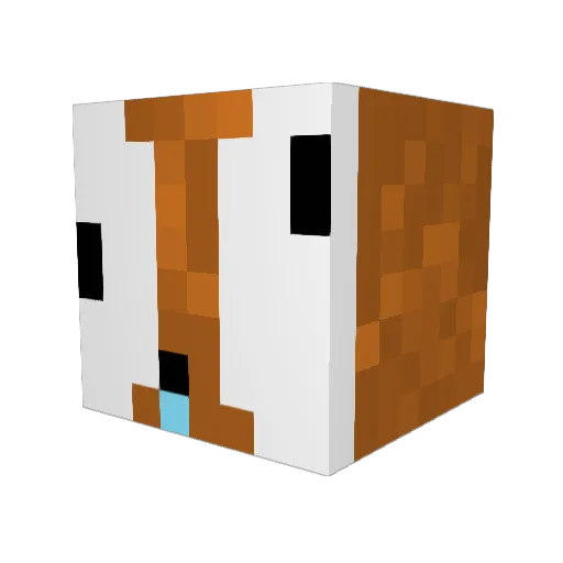 Ploop8863 Minecraft avatar head, 3D render