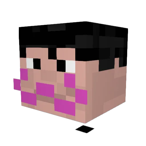 Ploopdaloop Minecraft avatar head, 3D render
