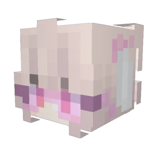 Ploopity Minecraft avatar head, 3D render