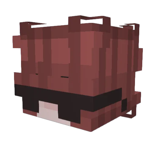 Ploowie Minecraft avatar head, 3D render