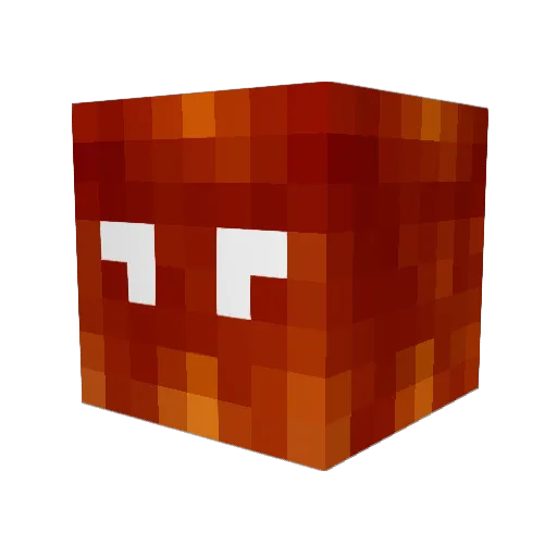 Plop08410 Minecraft avatar head, 3D render
