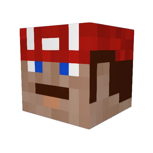 Plopkoek14 Minecraft avatar head, 3D render
