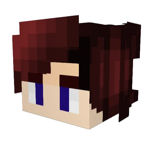 Plopkoekmoeder69 Minecraft avatar head, 3D render