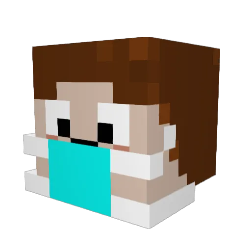 Ploppmann Minecraft avatar head, 3D render