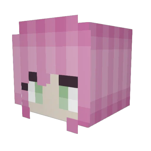 Ploppy15 Minecraft avatar head, 3D render