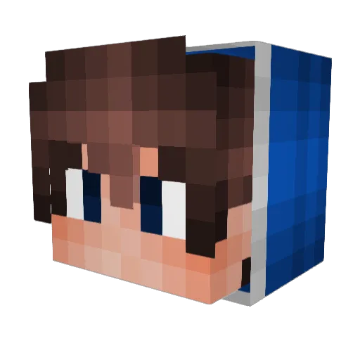 PlotTwists Minecraft avatar head, 3D render
