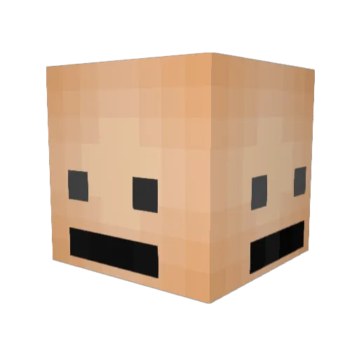 Ploudo Minecraft avatar head, 3D render