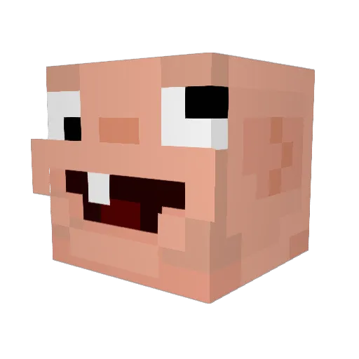 PloxCake Minecraft avatar head, 3D render