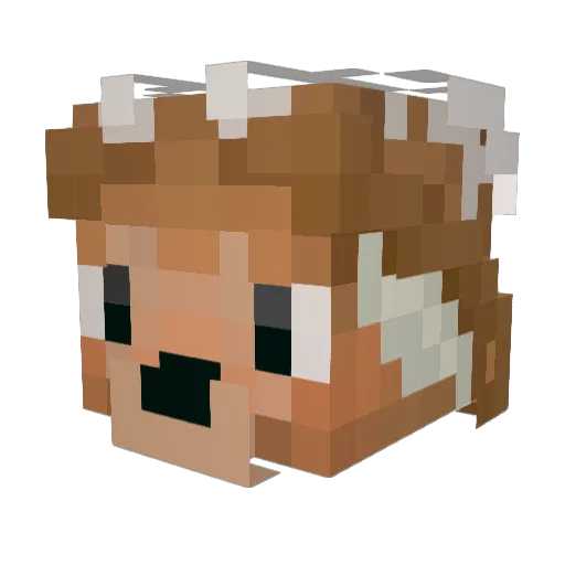 Plox_Raudd Minecraft avatar head, 3D render