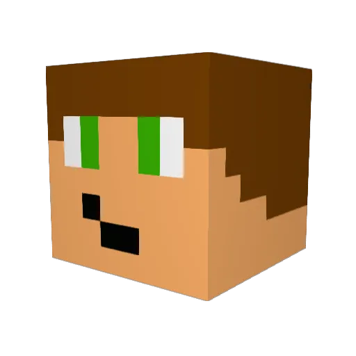 Ploxan Minecraft avatar head, 3D render