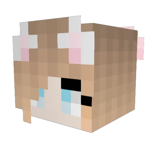 Ploy_nee Minecraft avatar head, 3D render