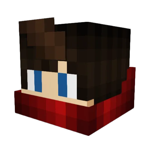 Plqgue Minecraft avatar head, 3D render