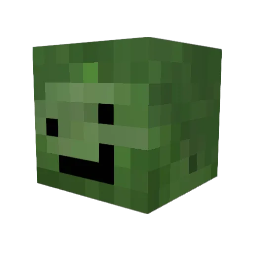 PlsGiveMeAttn Minecraft avatar head, 3D render