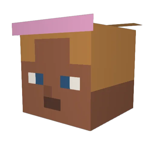 PlsPullMe Minecraft avatar head, 3D render