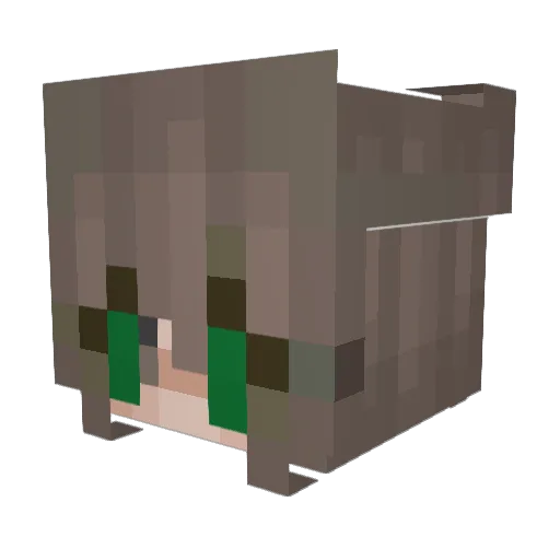 Plsuperace Minecraft avatar head, 3D render