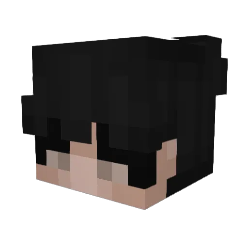 PltLucss Minecraft avatar head, 3D render