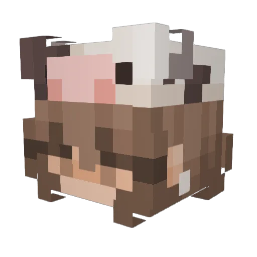 PluckyDoc Minecraft avatar head, 3D render