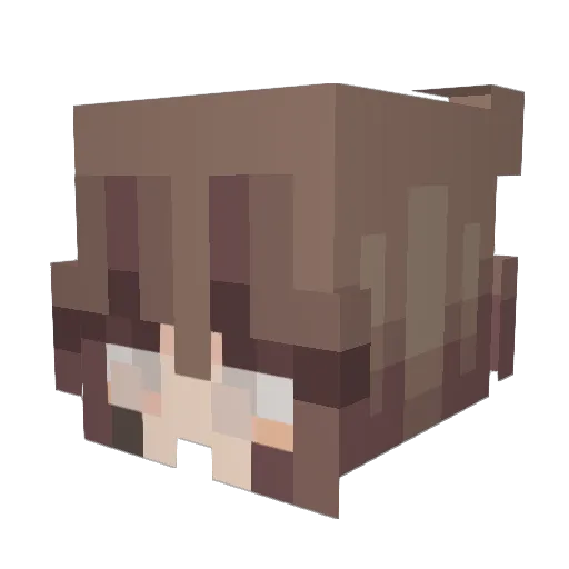 Pluffy99 Minecraft avatar head, 3D render