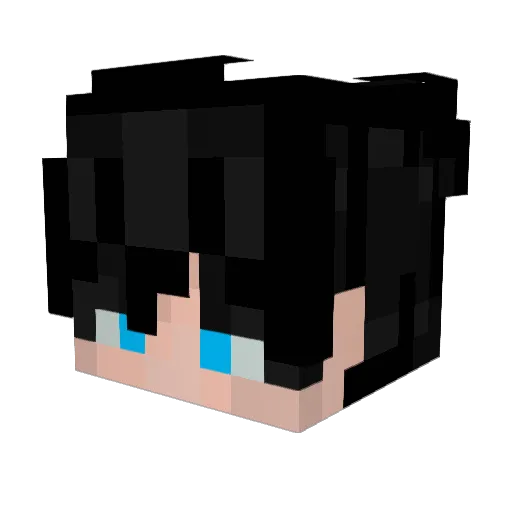 PlugFaiii Minecraft avatar head, 3D render