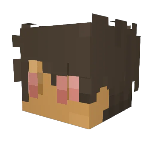 PlugWalkOn Minecraft avatar head, 3D render