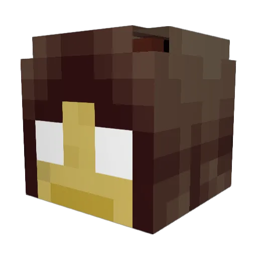 Pluggen Minecraft avatar head, 3D render
