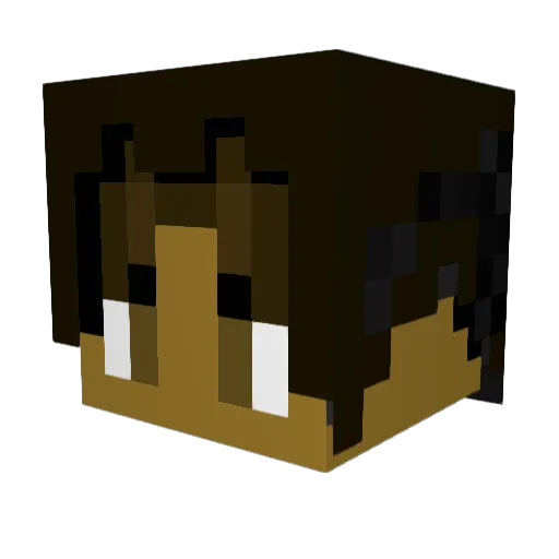 Pluh_98 Minecraft avatar head, 3D render