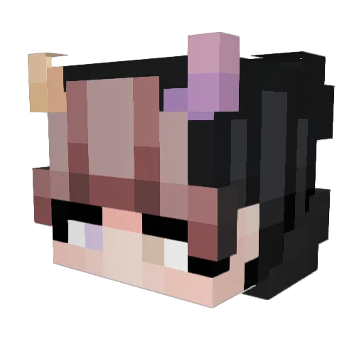 Pluicky Minecraft avatar head, 3D render