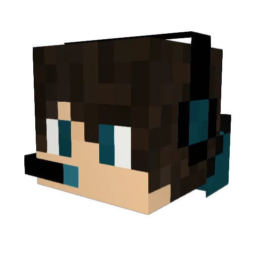 Pluimington Minecraft avatar head, 3D render