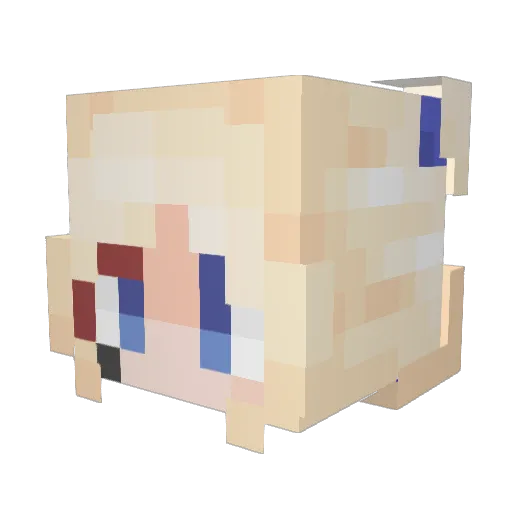 Pluisje282 Minecraft avatar head, 3D render