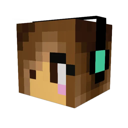 Pluisje8 Minecraft avatar head, 3D render
