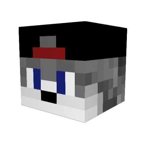 Plukas2009 Minecraft avatar head, 3D render