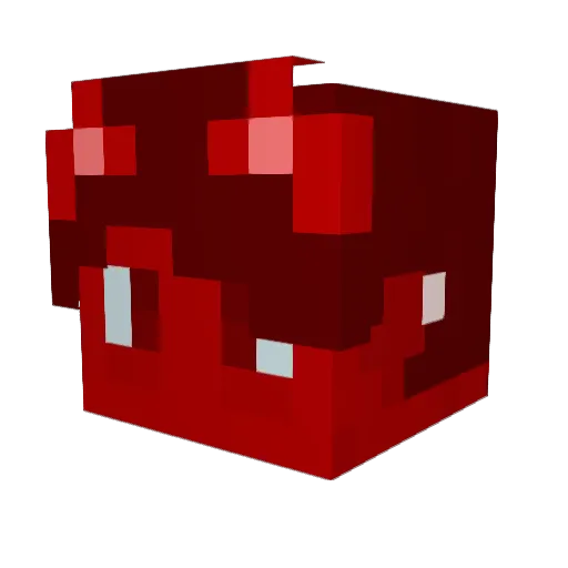 Plukooo Minecraft avatar head, 3D render