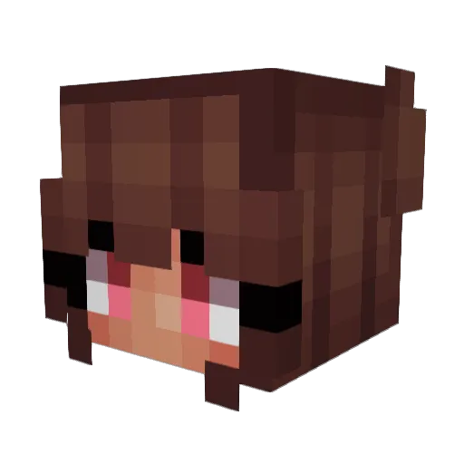 PlumBlossomPup Minecraft avatar head, 3D render
