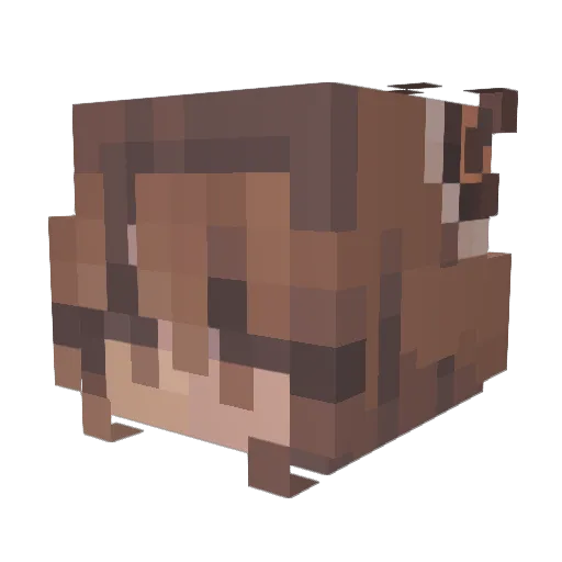 Plum_XD Minecraft avatar head, 3D render