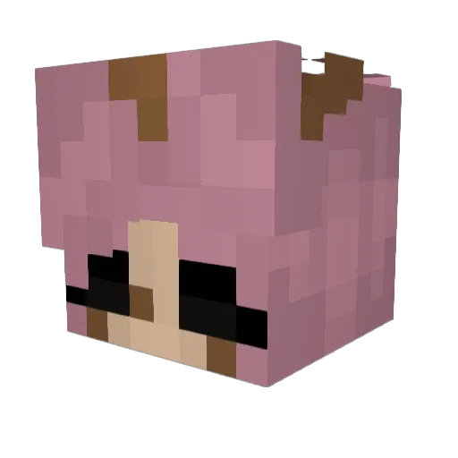 Plumary Minecraft avatar head, 3D render
