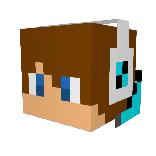Plumber0 Minecraft avatar head, 3D render