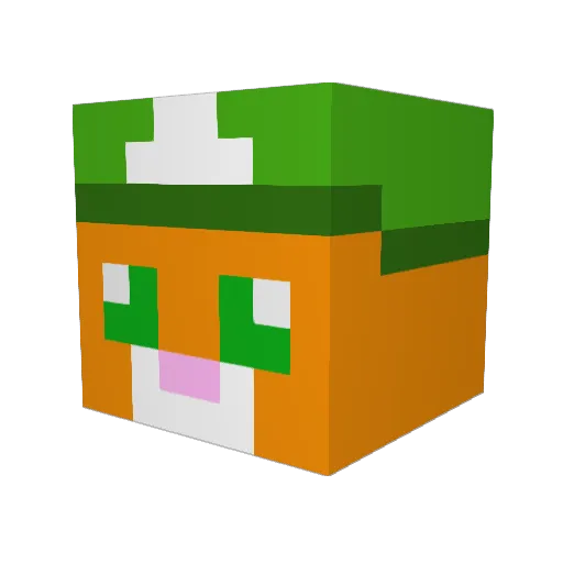PlumberCat Minecraft avatar head, 3D render