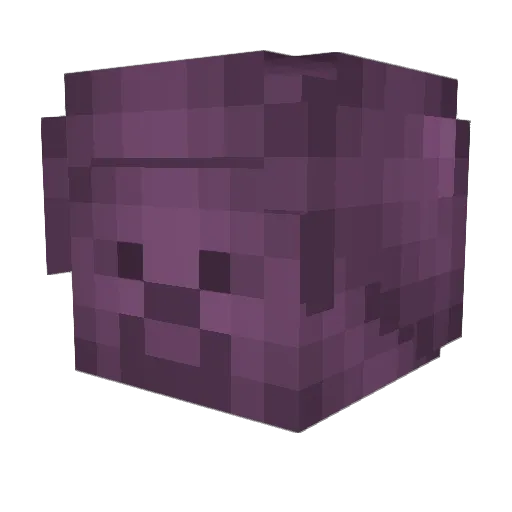 Plumdisc Minecraft avatar head, 3D render
