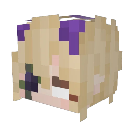 PlumeBleu Minecraft avatar head, 3D render
