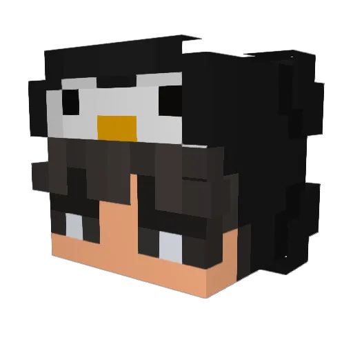 PlumeNight0 Minecraft avatar head, 3D render